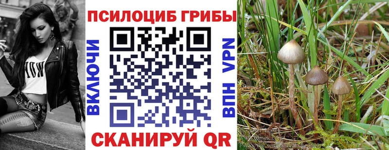 Галлюциногенные грибы мицелий  Усолье 